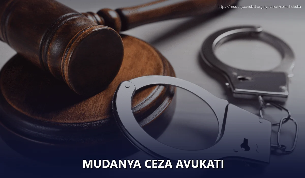 Mudanya Ceza Avukatı